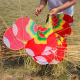 7m Chinese Dragon Kite