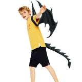 Black Dragon of Darkness set of Wings Costume