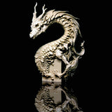 Dragon Skeleton Model