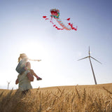Traditional Chinese Dragon Kite
