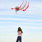 Traditional Chinese Dragon Kite