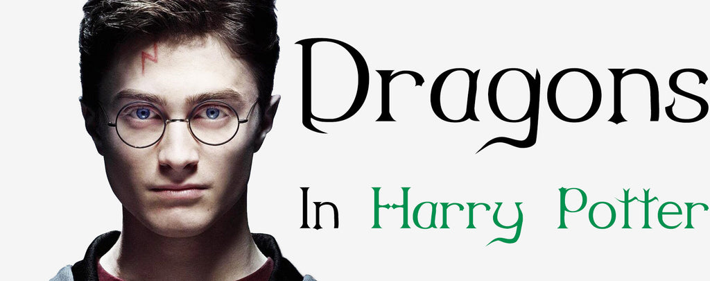 Dragons in Harry Potter