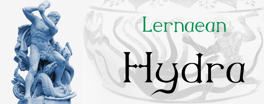 Lernaean Hydra in Greek Mythology  Origin & Development - Lesson