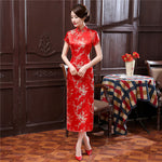 Traditionnal Chinese Dress with Dragon Patterns