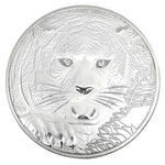 Dragon and Tiger Silver Coin