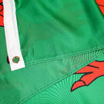 Flag of Wales with the Red Dragon