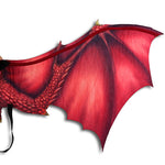 Red Dragon Costume
