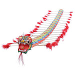 Traditional Chinese Dragon Kite